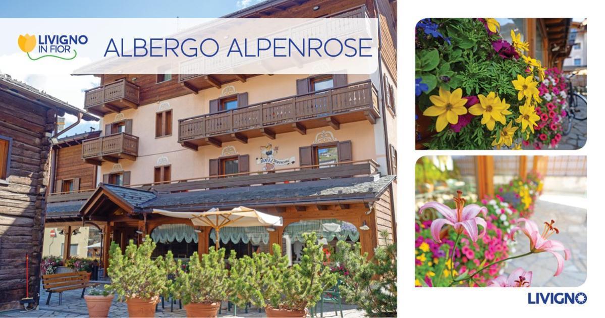 Albergo Alpenrose Ливиньо Экстерьер фото